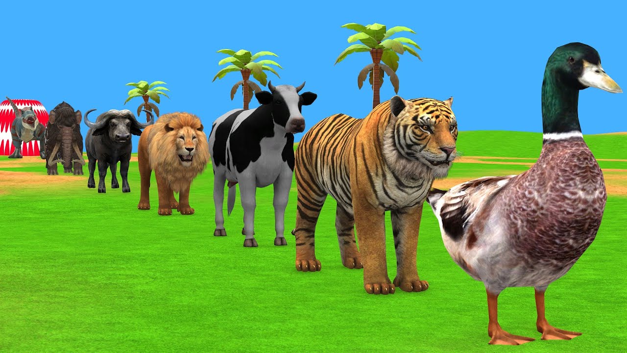Long Slide Game with Cow Elephant Gorilla Hippopotamus Tiger 3d Animal Game Funny 3d Animals