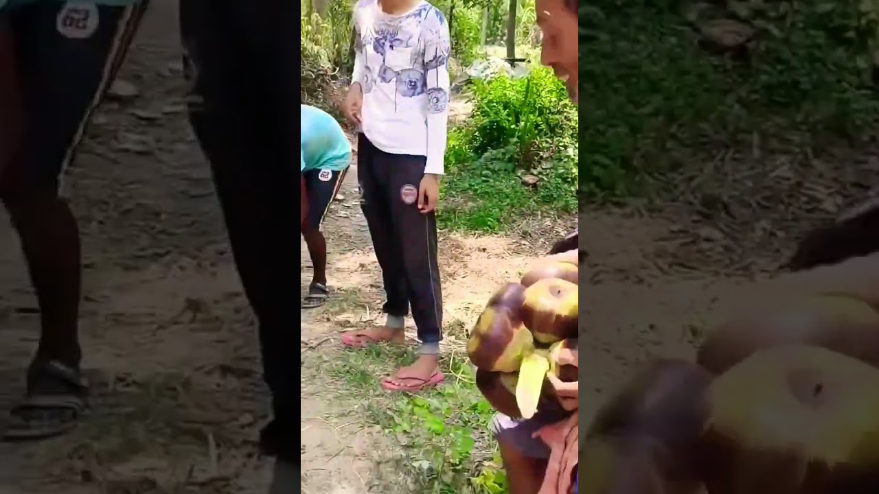 Village food Tal Khoaya #shorts #shot