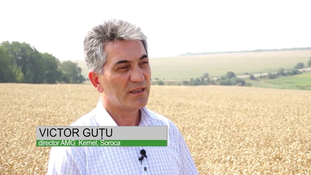 Victor Guțu, AMG Kernel, Soroca