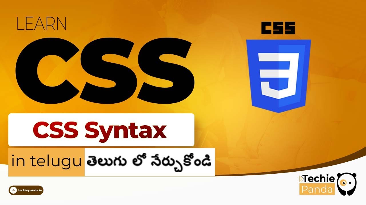 CSS syntax in Telugu || Internal and External CSS Syntax || Inline CSS Syntax || Coding School