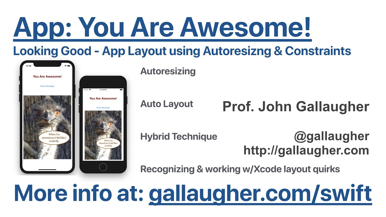 Ch. 2.7 Looking Good: App Layout, Auto Resizing, AutoLayout & Constraints   Swift Book v4