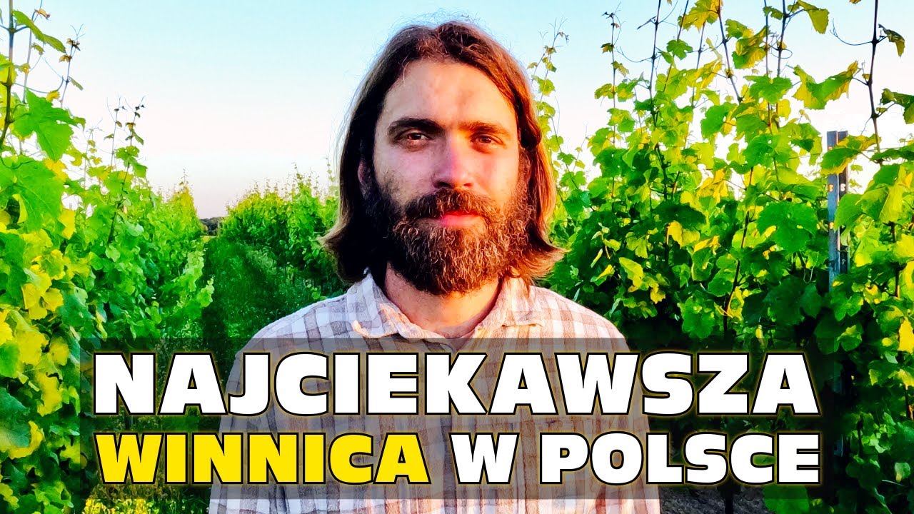 Najciekawsza winnica w Polsce | Dwór Sanna 🍇🍷🧀 - Wino naturalne i sery ekologiczne na Roztoczu