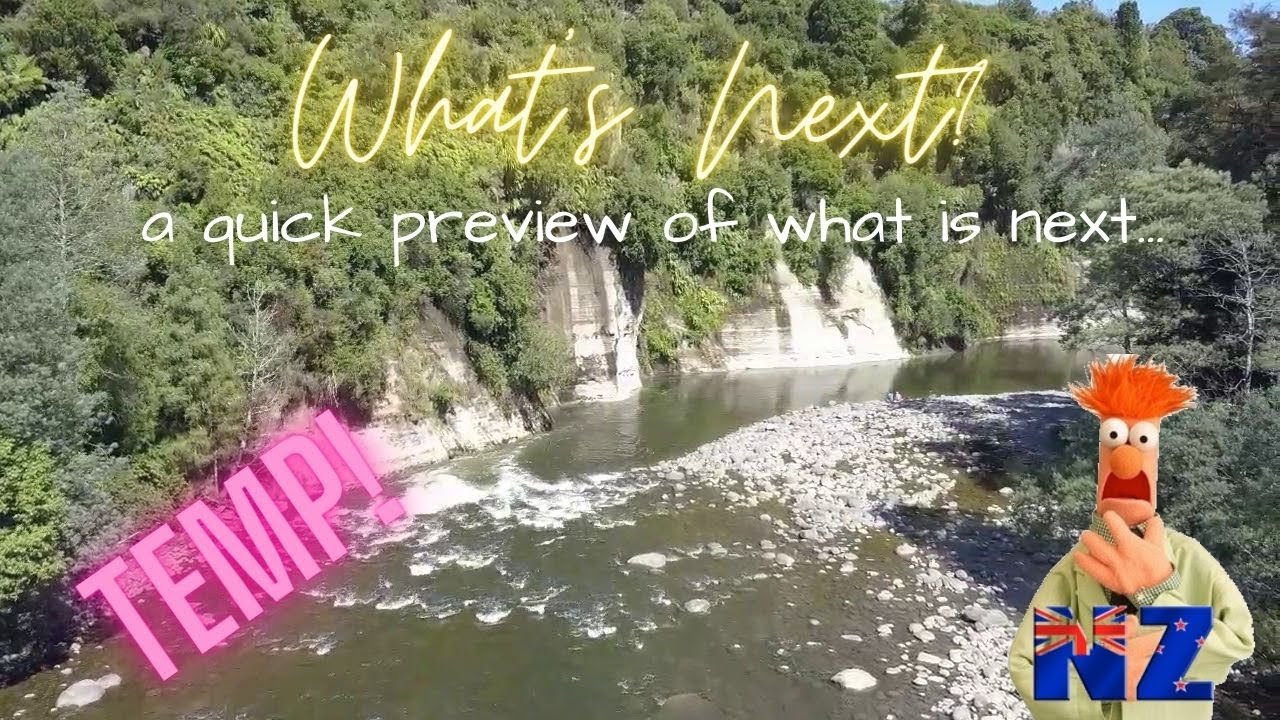 TEMP - What's Next - Ruatiti Domain - New Zealand - nzbeeker