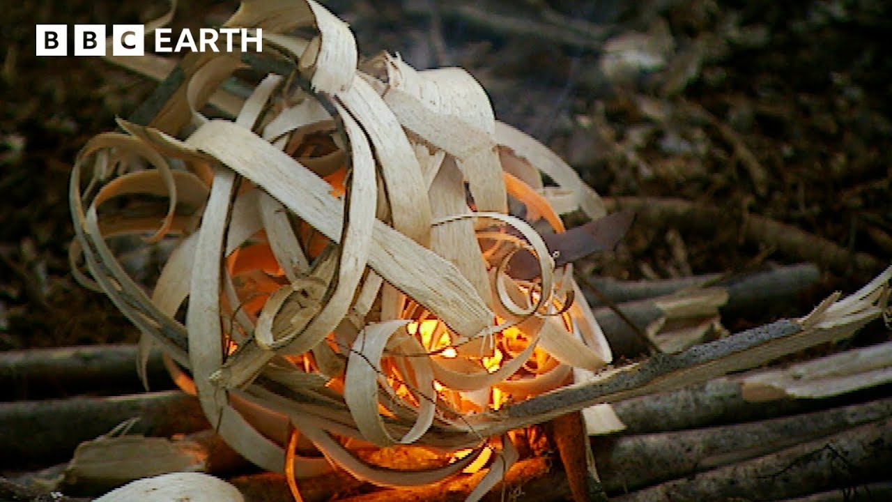 Ray Mears Teaches Ultimate Survival Skills | BBC Earth Explore | BBC Studios