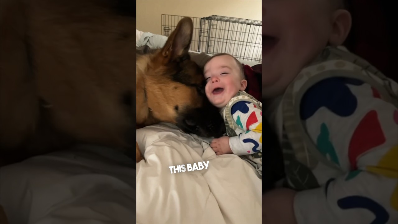 Самое очаровательное видео с собакой и ребенком ❤️