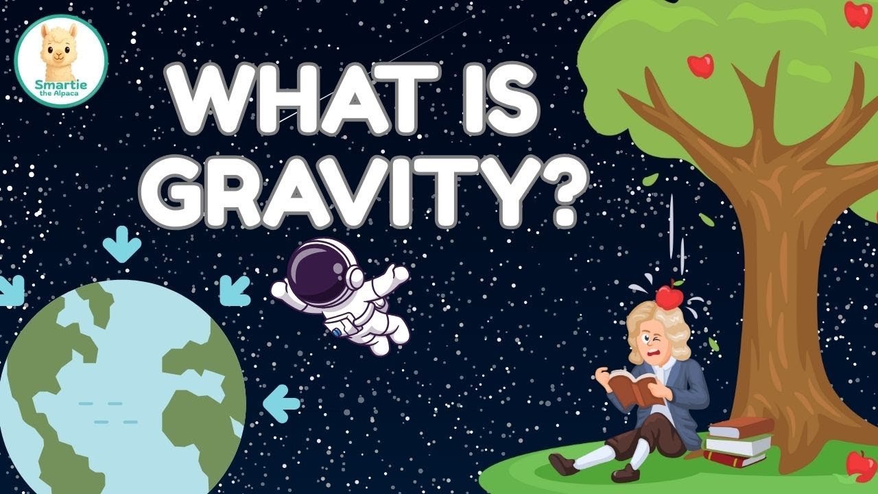 What is Gravity Explained for Kids | Science for Kids | Smartie the Alpaca