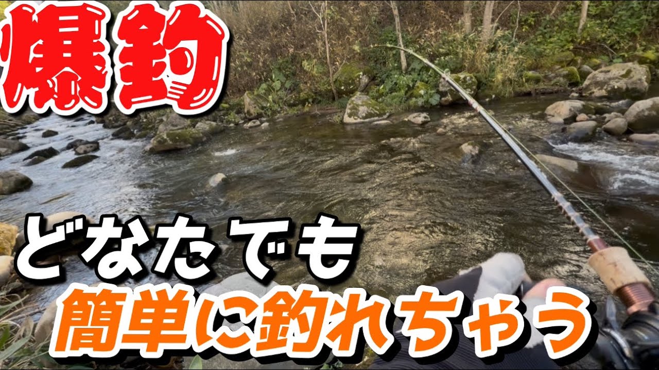 【釣り堀より釣れる】誰でも簡単に爆釣しちゃう秋の渓流は何投げても釣れます！