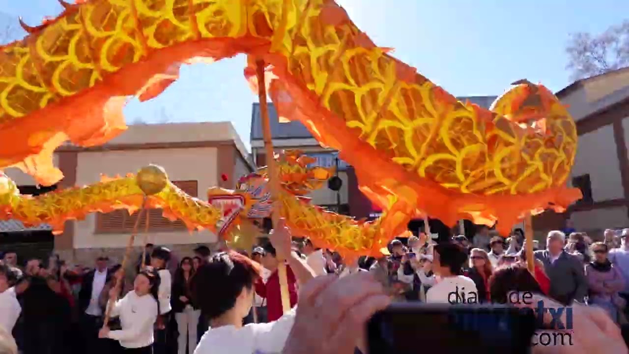 Año nuevo chino 2026 | Palma