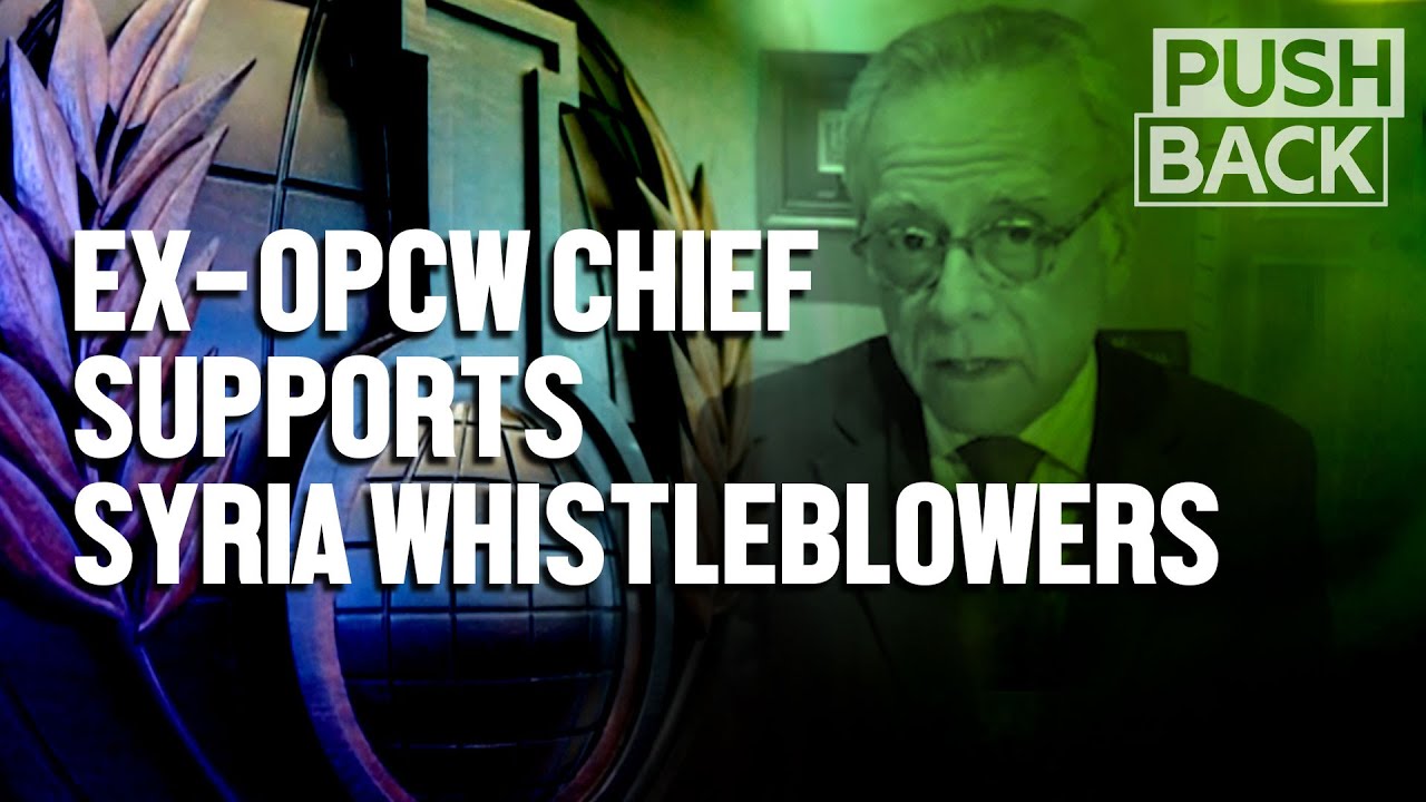 Ex-OPCW chief criticizes US pressure, sidelining of veteran inspectors in Syria probe