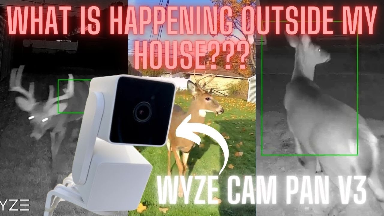 Интеллектуальные функции Wyze Cam Pan V3, которые вам стоит увидеть.