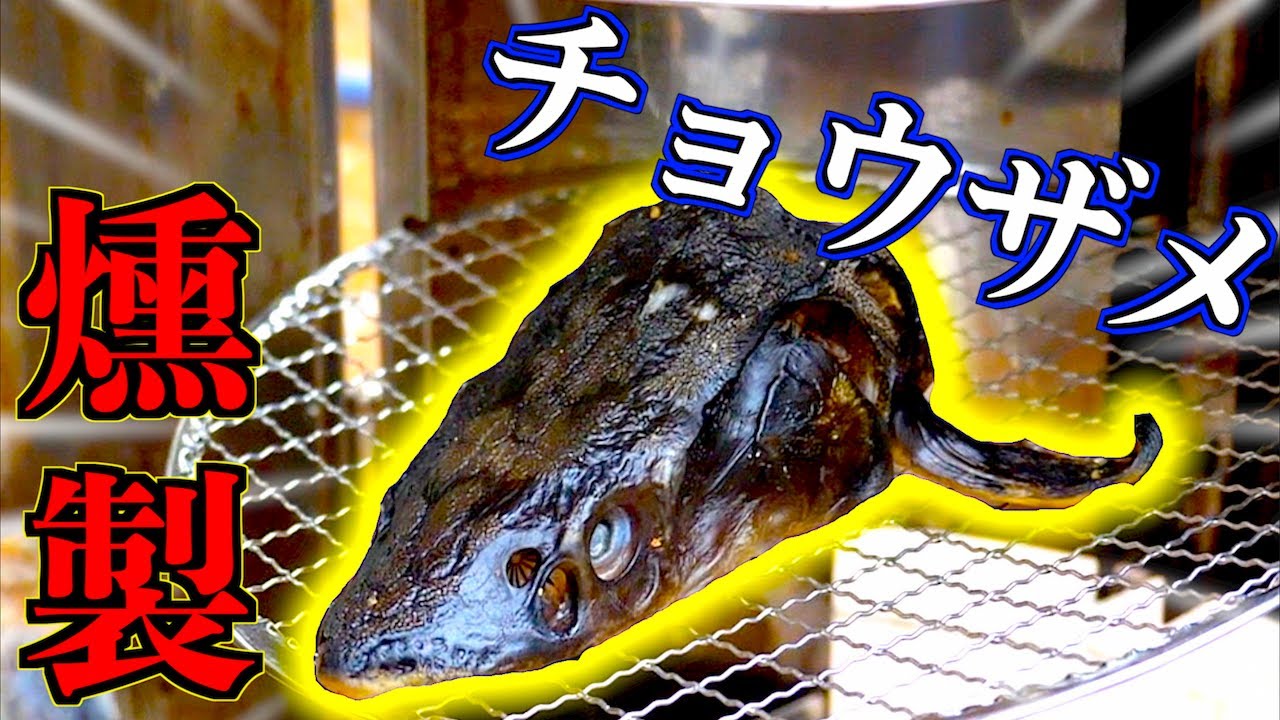 超美味！！頭も骨も食べられるサメの燻製！！