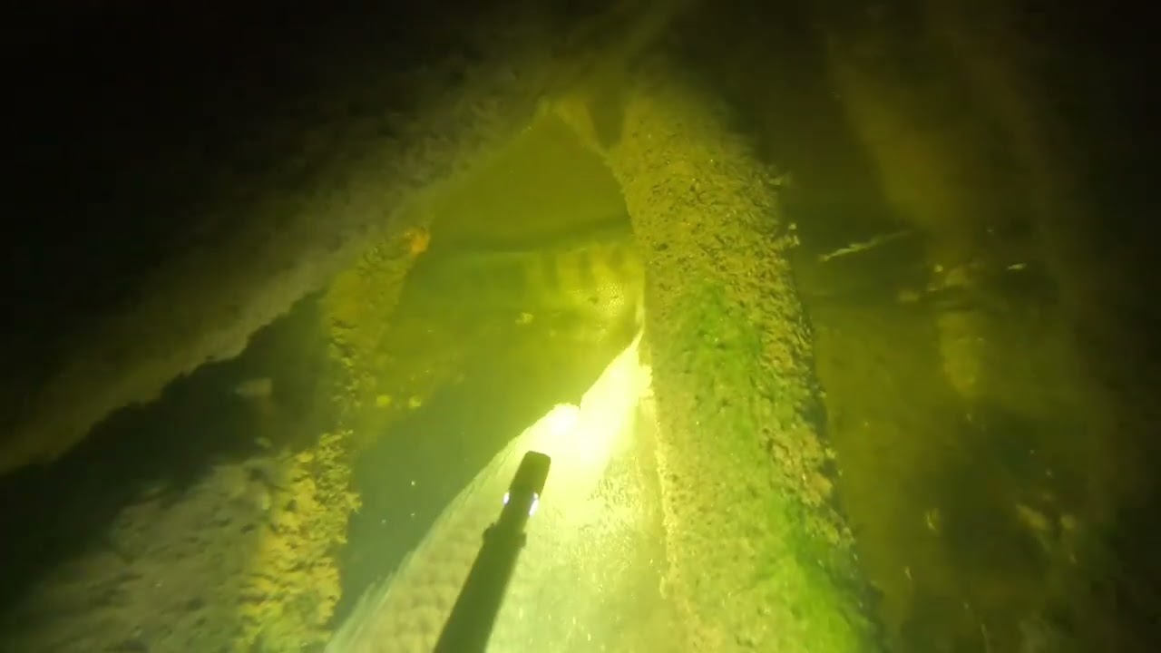 Tembak ikan di sungai!!! 
