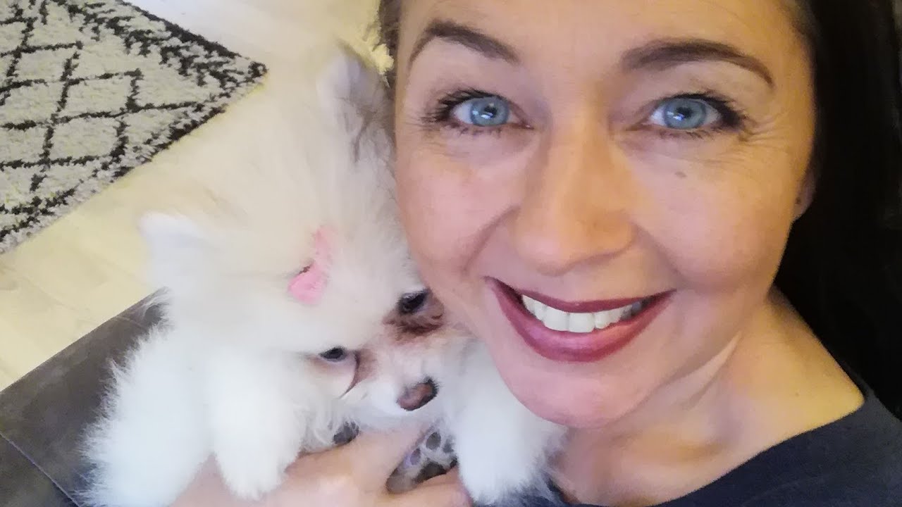 Vi har fået hundehvalp 🐶 😃🤩🤩🤩🤩🤩🤩🤩🤩🤩🤩🤩🤩🤩🤩