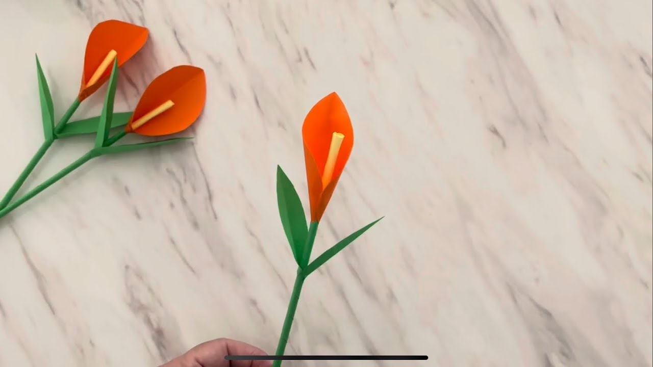 DIY Beautiful Easy Paper Flowers 💐 手工制作简单、漂亮的花💅