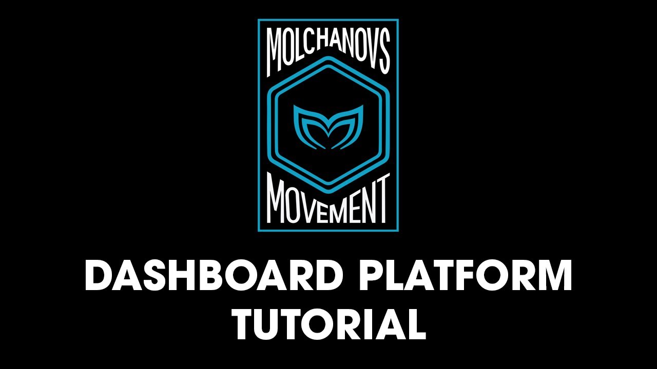 Tutorial for our Movement Dashboard | Molchanovs Movement