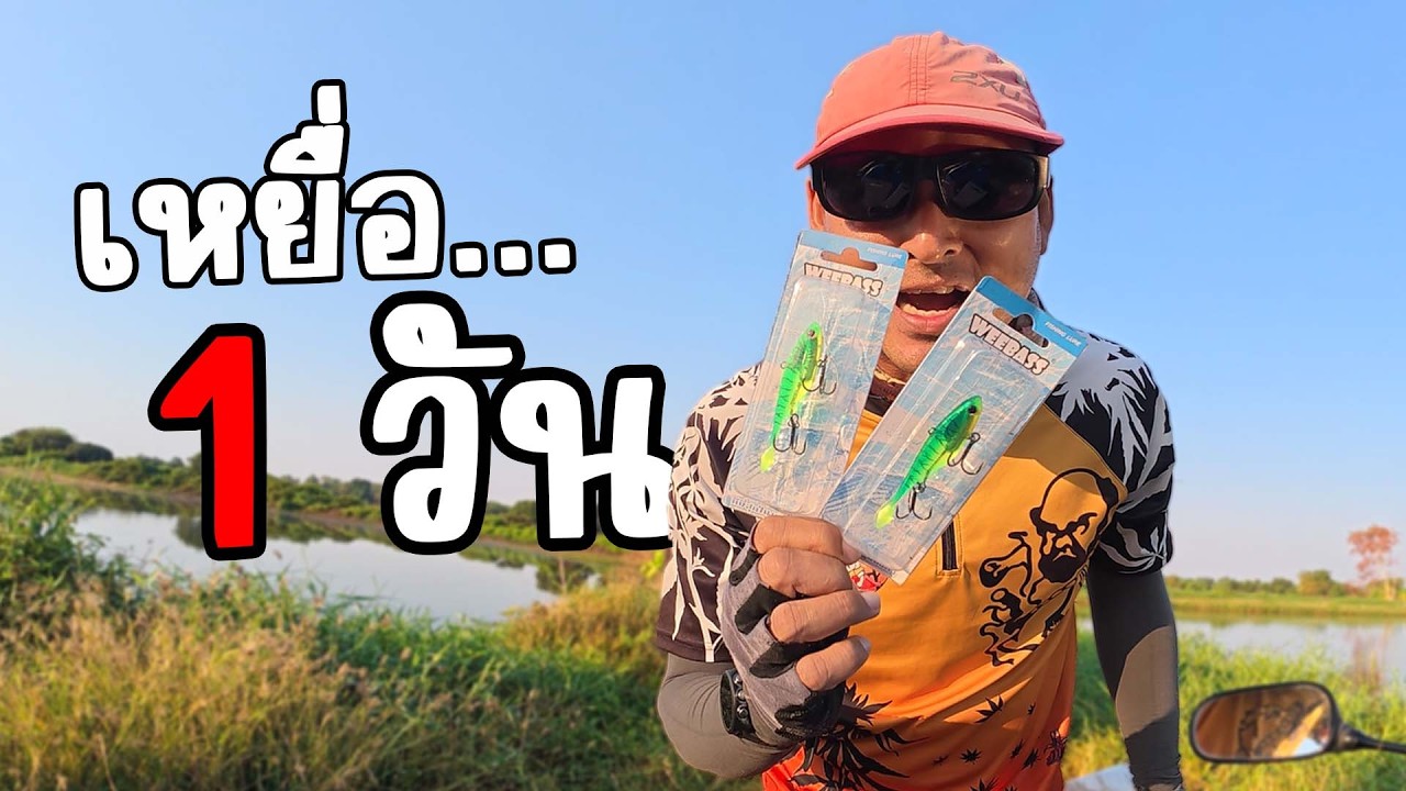 เหยื่อเด็ด!! ปลาช่อนบุฟเฟ่ต์ | ไอ้หนูเชื่อน้า