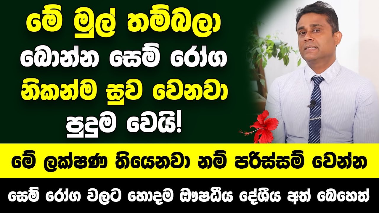 මේ මුල් තම්බලා බොන්න සෙම් රෝග නිකන්ම සුව වෙනවා - සෙම් රෝග වලට හොදම දේශීය අත් බෙහෙත් දිව්‍ය ඖෂධීය