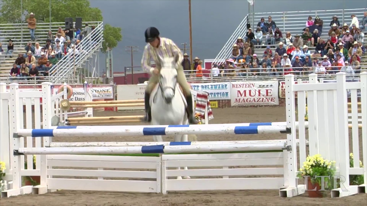 LTR Presents: Up, Up and Away