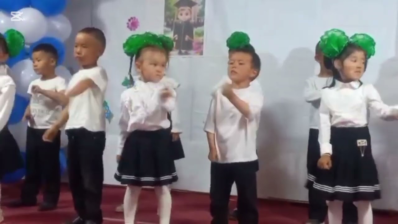 Флешмоб-2025 г.Тренд TikTok
