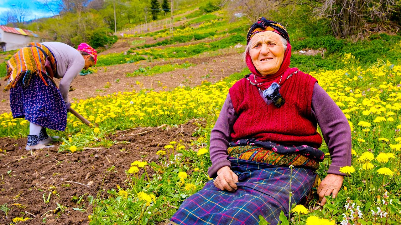 Yüksekteki Hayat I Karadeniz Bölgesi #belgesel #köy #köyhayatı #doğa #karadeniz #hayvancılık