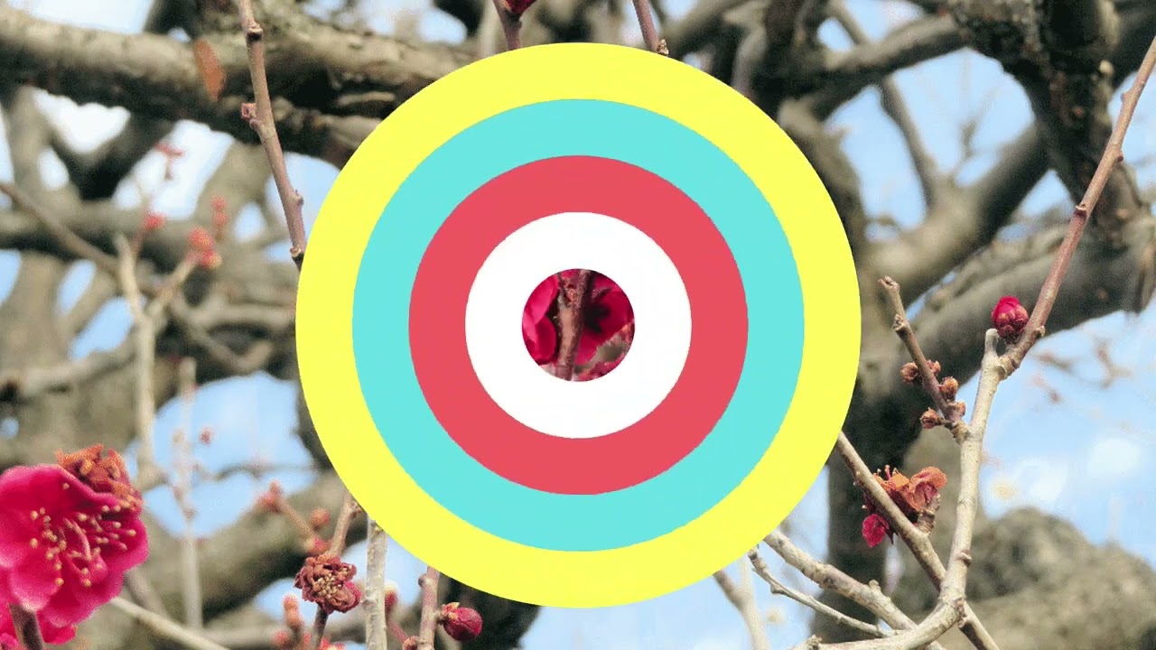 SHWKP公園動画とＢＧＭ公園冬の花2526_31