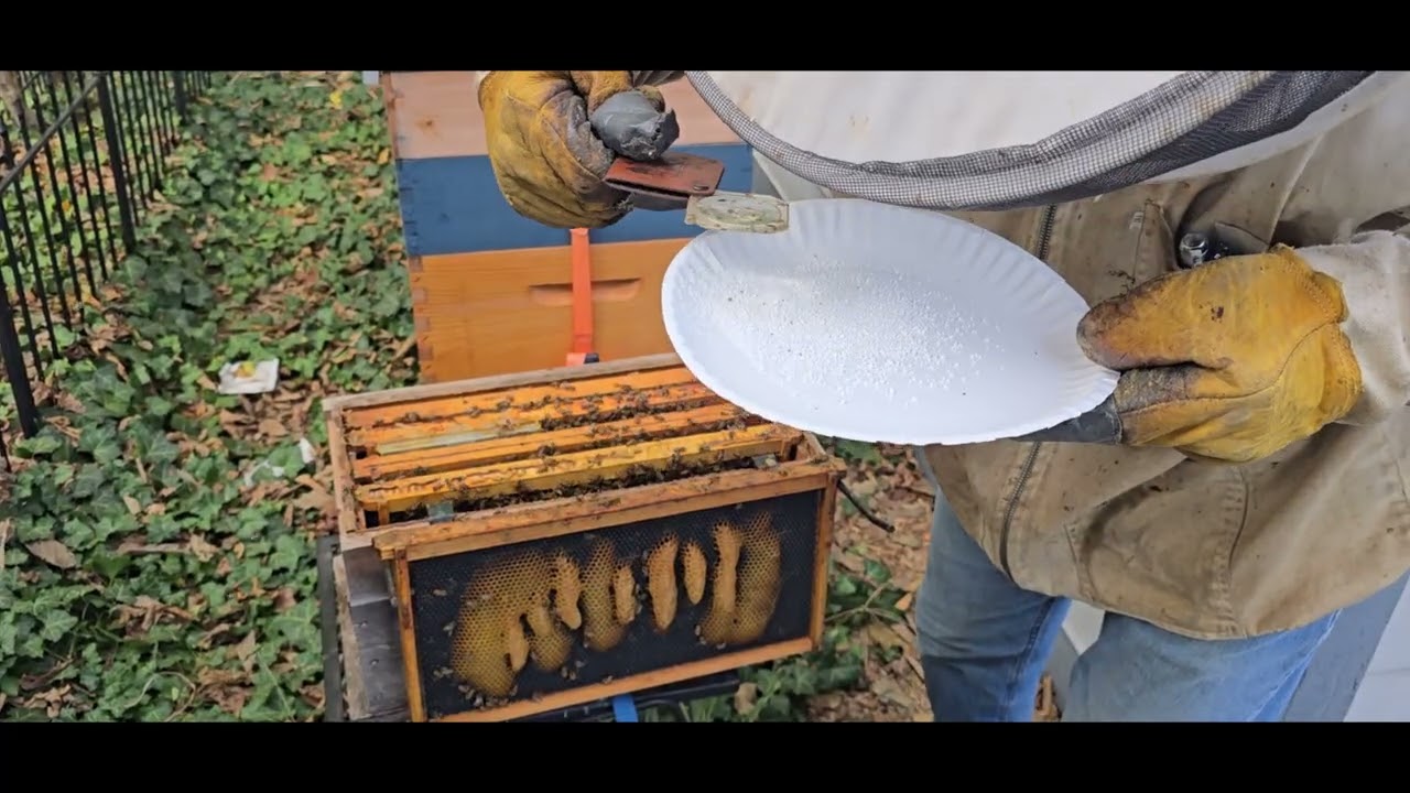 Oct 11, 2025 Mite Check at the Backyard and Brown County Apiaries