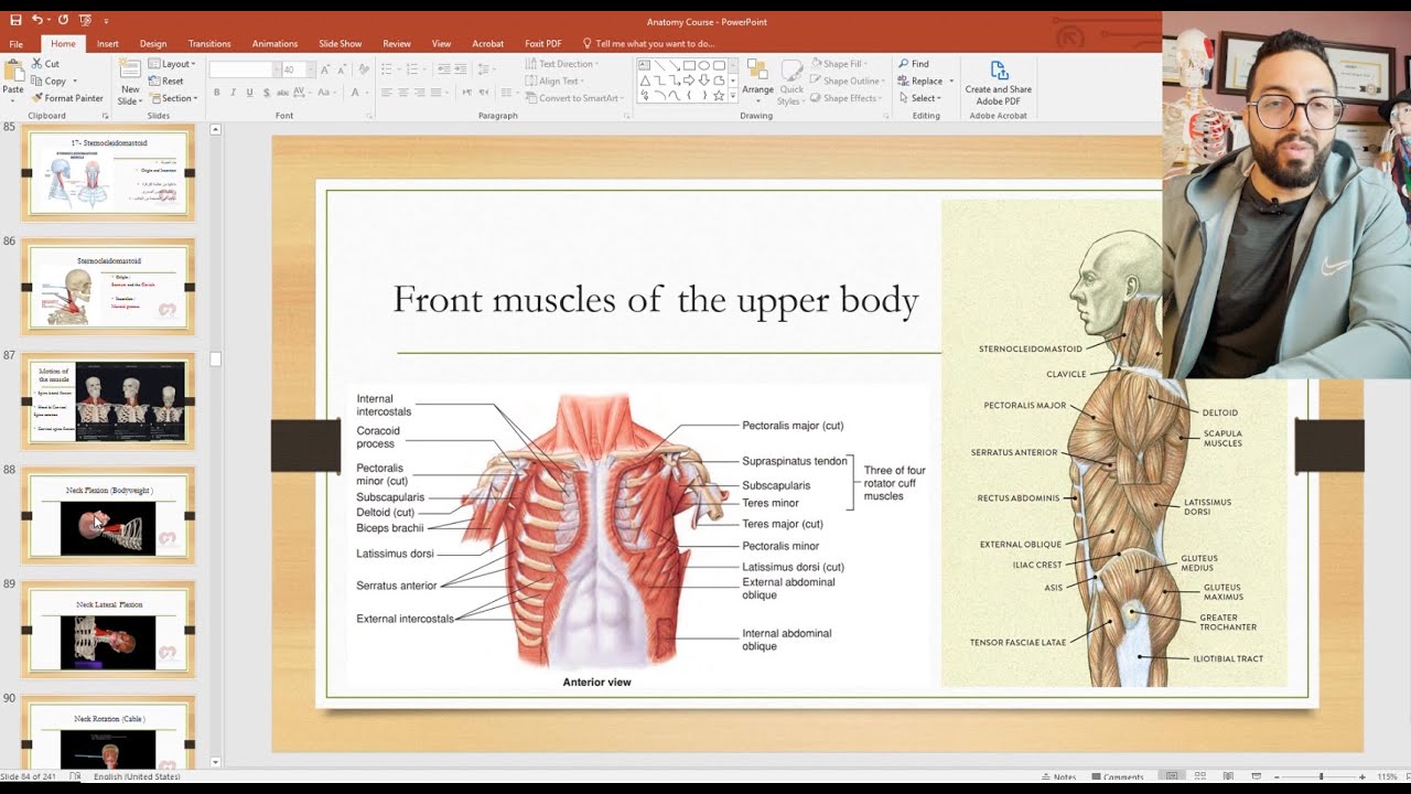 Anatomy and kinesiology for Chest And Shoulder -تشريح و علم حركة عضلات الصدر و الكتف من كورس التشريح