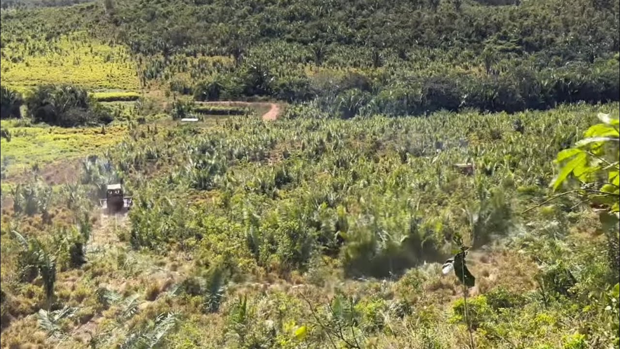 TRATORES LIMPANDO PASTO COM CORRENT&Atilde;O MAR&Iacute;TIMO 🇧🇷