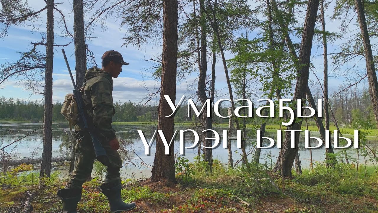 Охота на уток Традиционная охота на нырковых Күһүҥҥү кус. Умсааҕы үүрэн бултааһын Waterfowl hunting