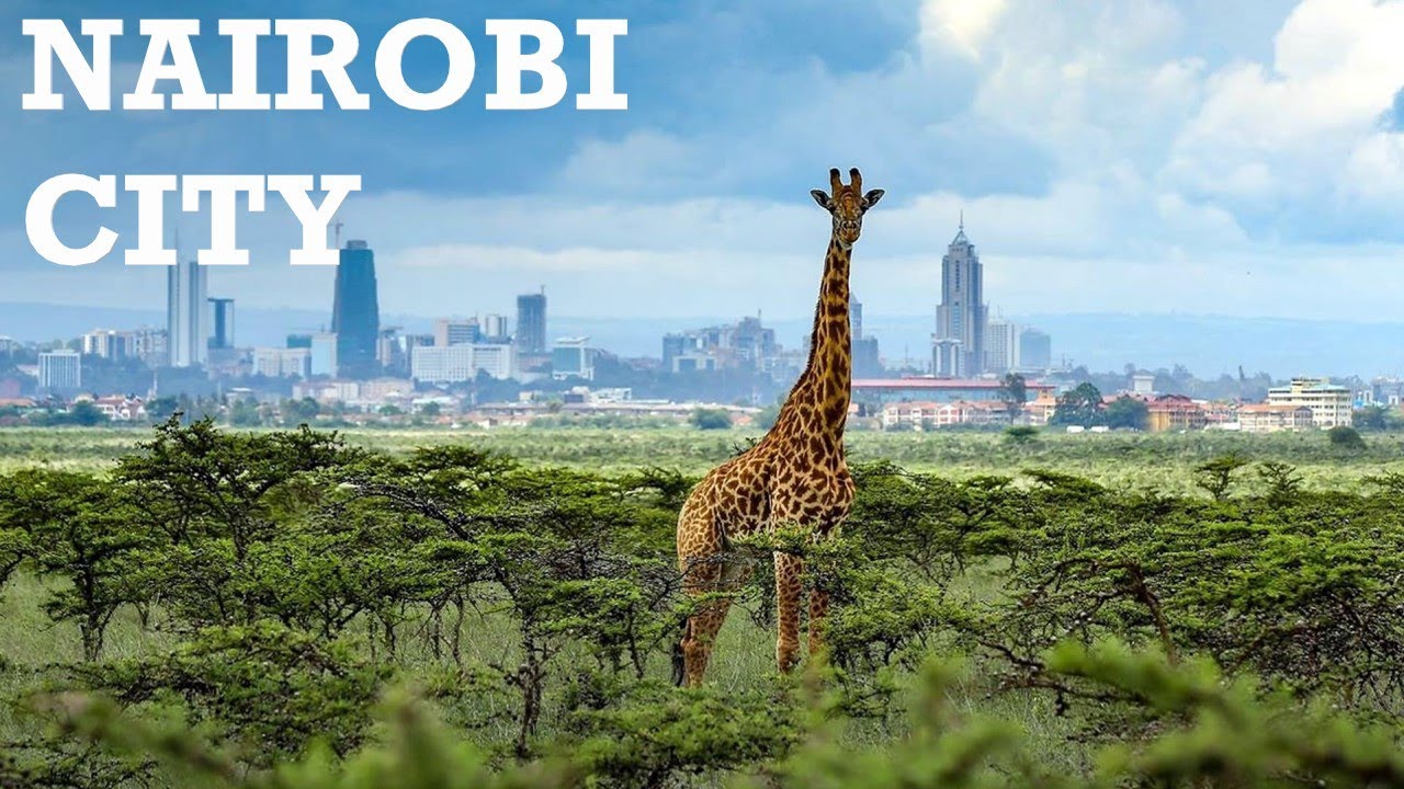 Explore an Unforgettable City: Nairobi City Tour! 2023
