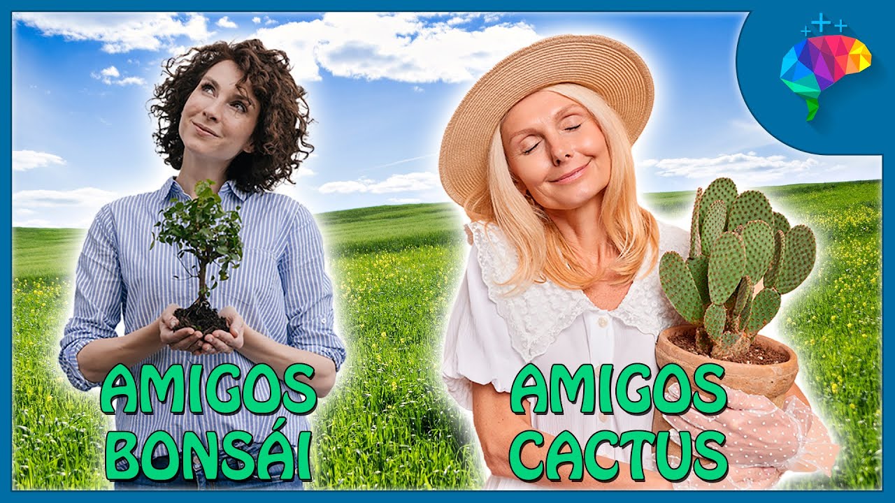 Qué son los amigos cactus y los amigos bonsái y ¿cuál eres tú?