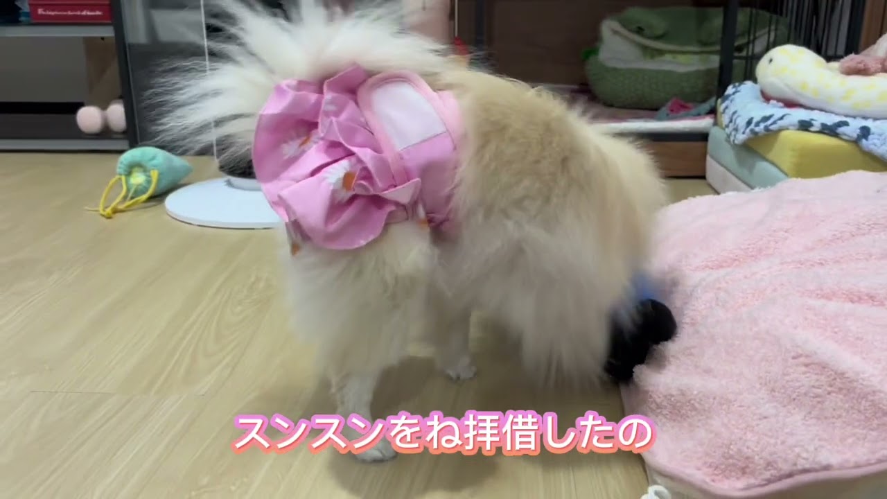 ららの日常