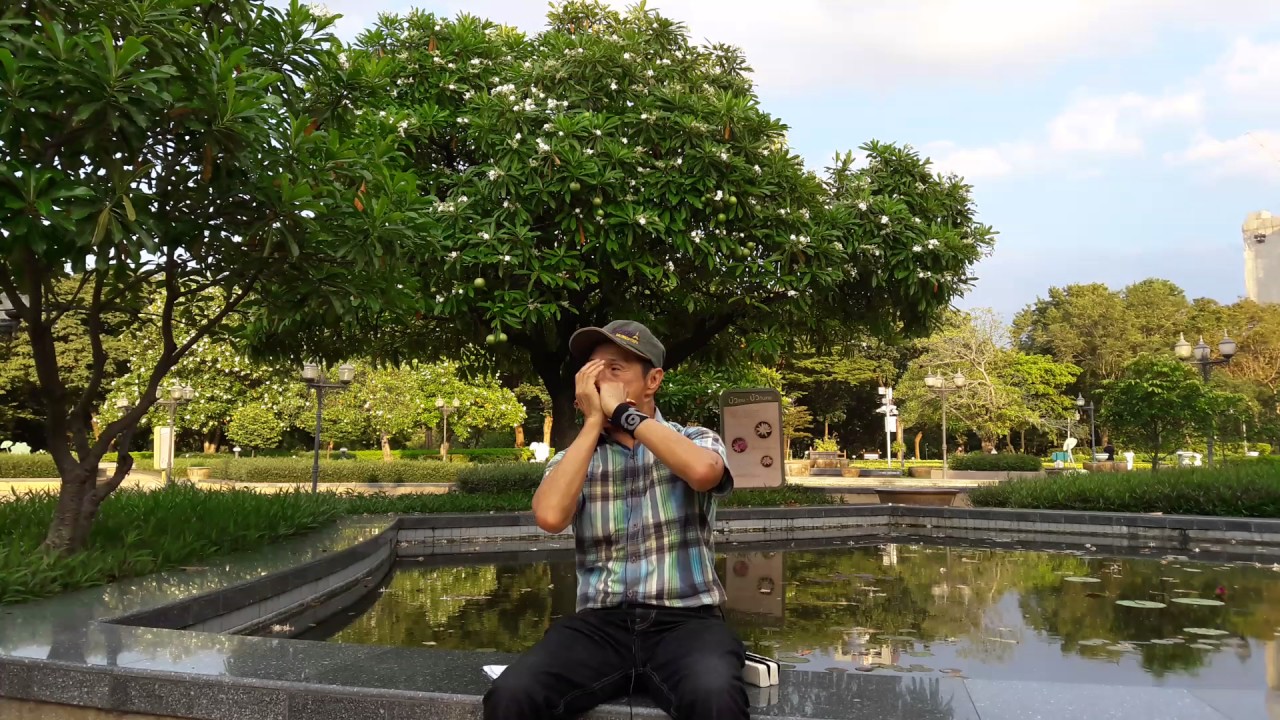 往事只能回味， 陈天才，吹口琴 C หว่างซื่อจื่อเหนิงหุยเว่ย เม้าออแกน โดยคุณพินัย.