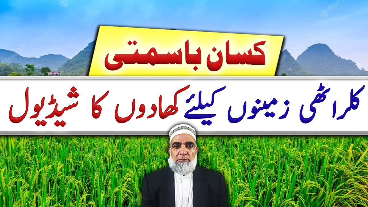 Fertilizer schedule for Kisan Basmati Rice in salt affected soil || Crop Reformer