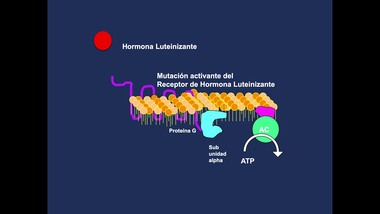 FISIOPATOLOGIA DE LA PUBERTAD PRECOZ -- Dr. Alejandro Mart&iacute;nez A.