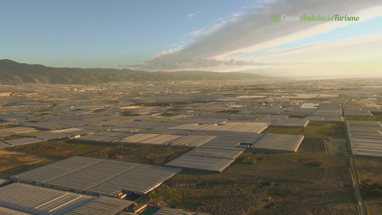 Invernadero Clisol Agro, El Ejido. Almer&iacute;a
