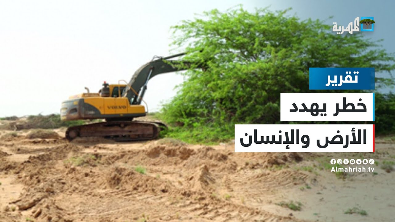 أشجار السيسبان  -  خطر يهدد الأرض والإنسان