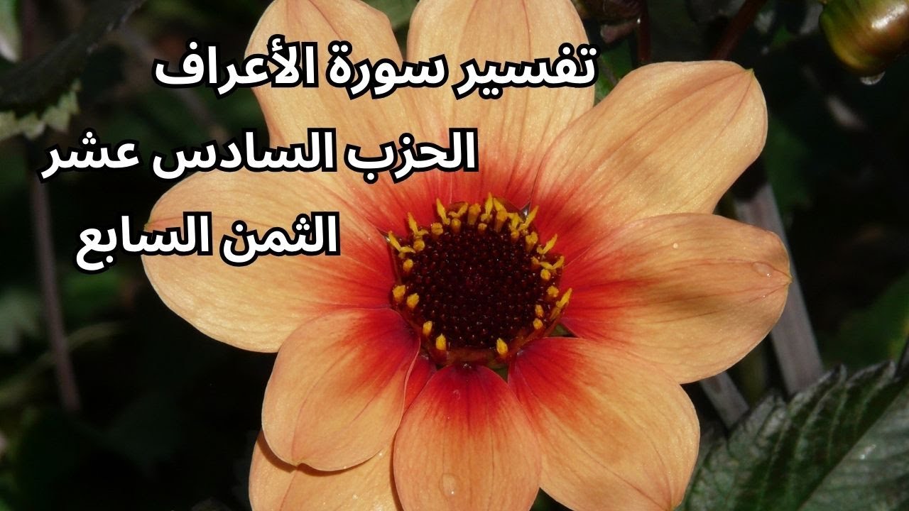 تفسير سورة الأعراف: الحزب السادس عشر، الثمن السابع