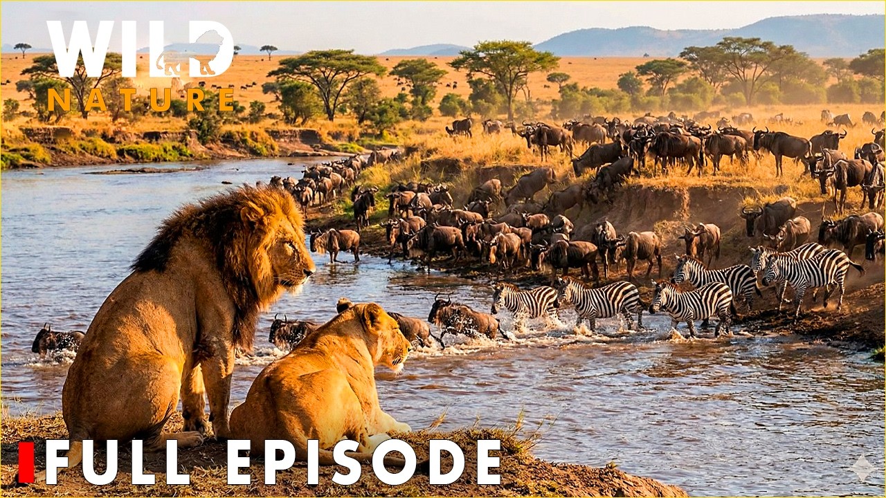 Savage Kingdom | Most Dramatic Survival Moments | FULL EPISODE | Nature Animal Documentary