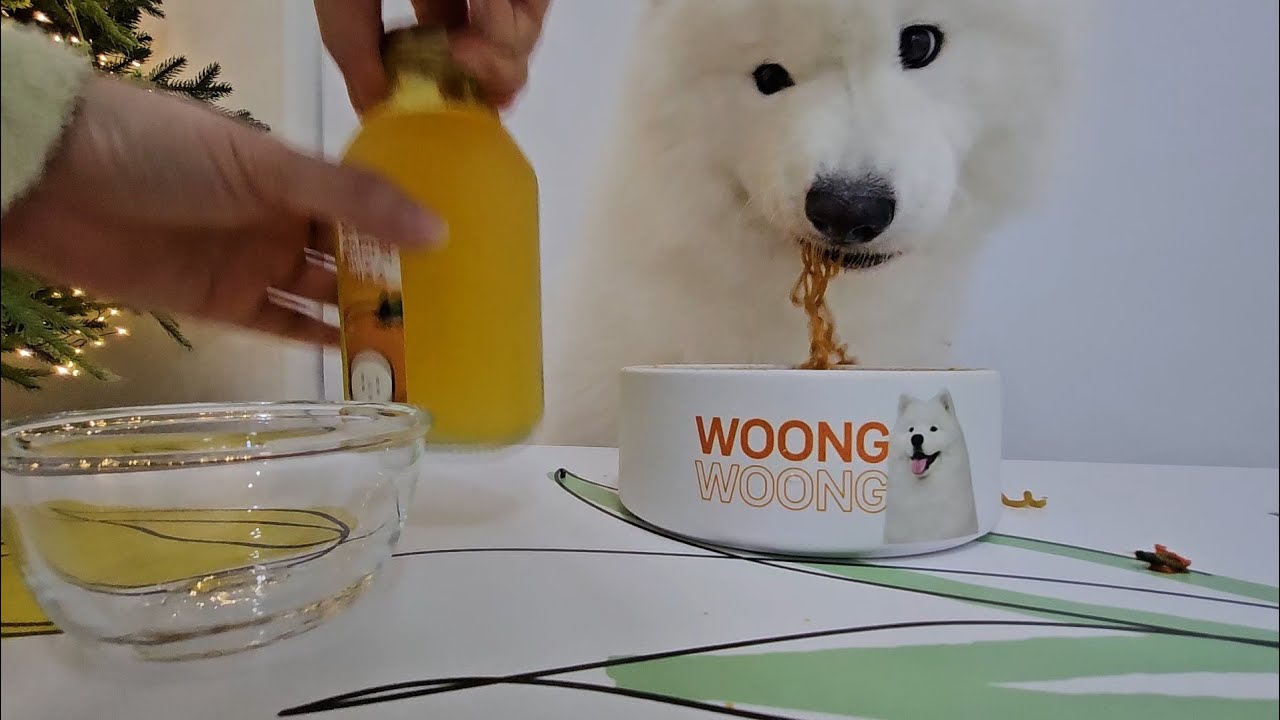 불닭볶음면 먹방(애견먹방)