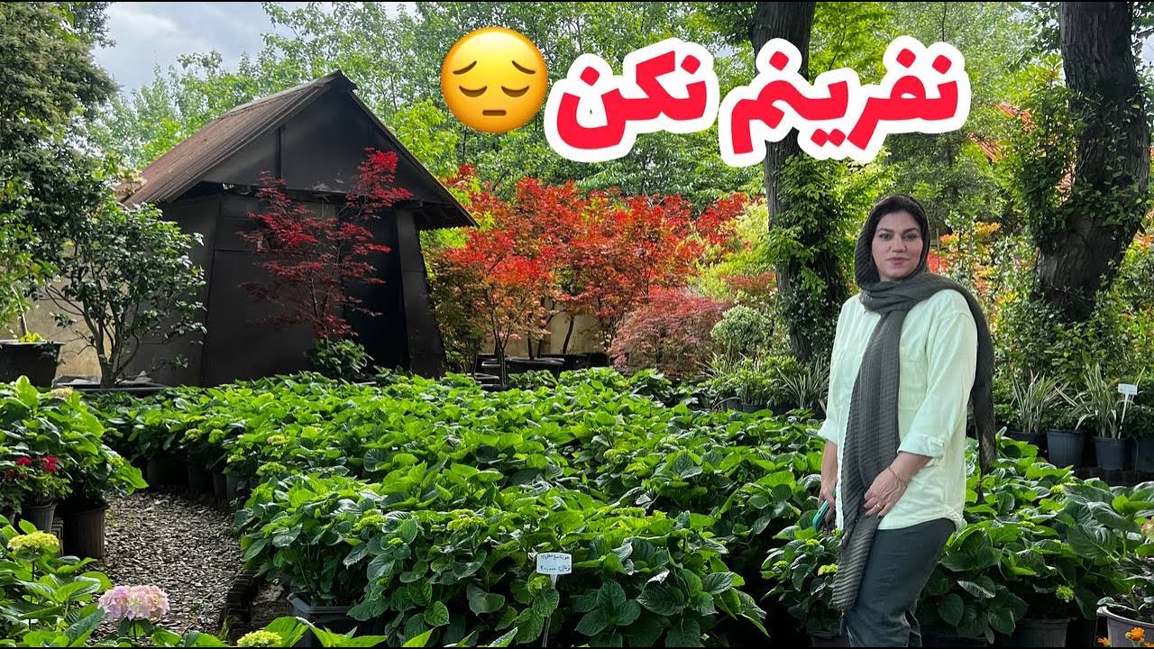 داستان نفرینم نکن ، واقعی و ارسالی از طرف شما ، تک قسمتی ، پادکست و ولاگ فارسی