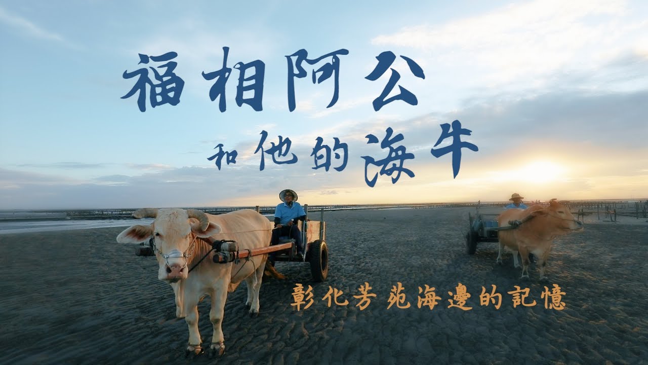 鏡食旅》福相阿公與他的海牛　彰化芳苑海邊的記憶