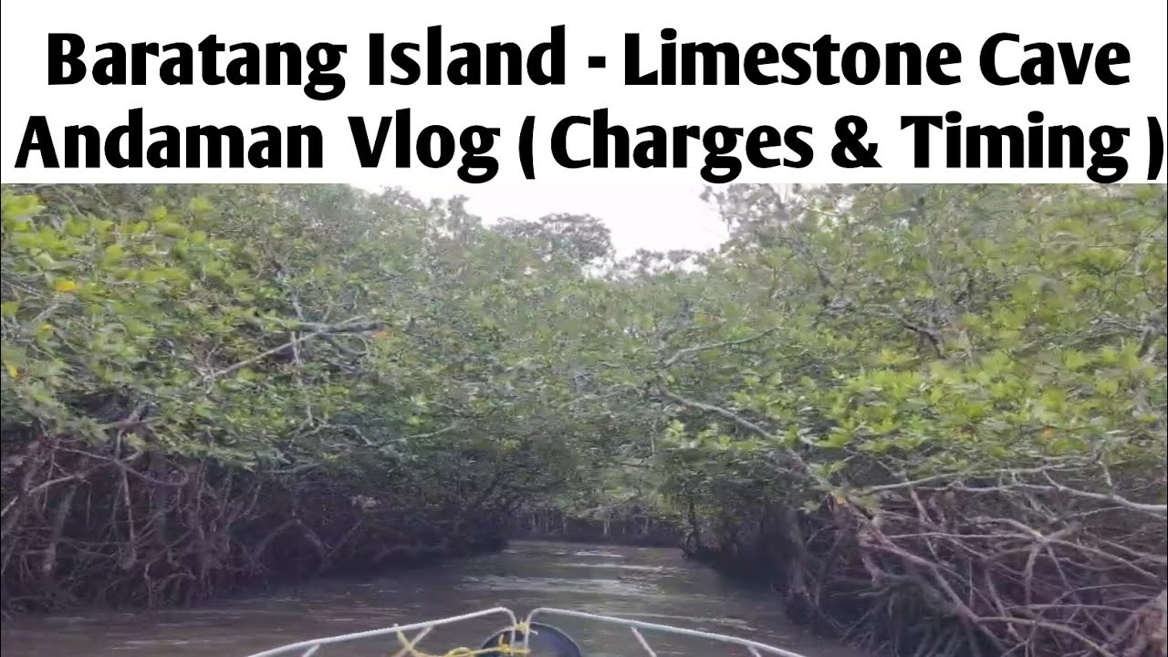 Portblair ATR Jarawa Tribe Ferry Baratang Island Speed boat Mangrove Forest #Limestone Cave Andaman 
