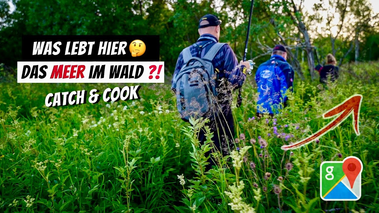 Versteckter Spot entdeckt! 😱 Krasser Fang & perfektes Fischfilet!