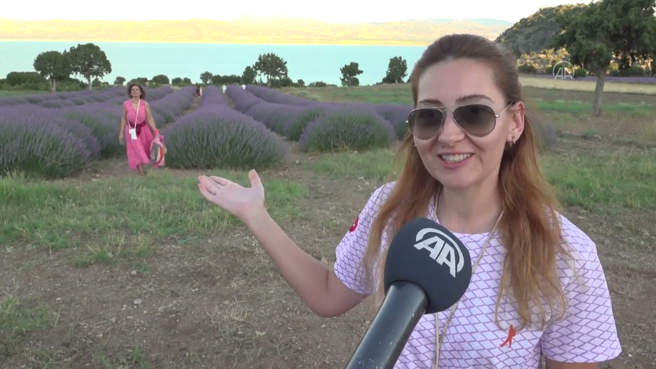 Burdur'daki lavanta tarlaları hem ihracata hem turizme hizmet ediyor