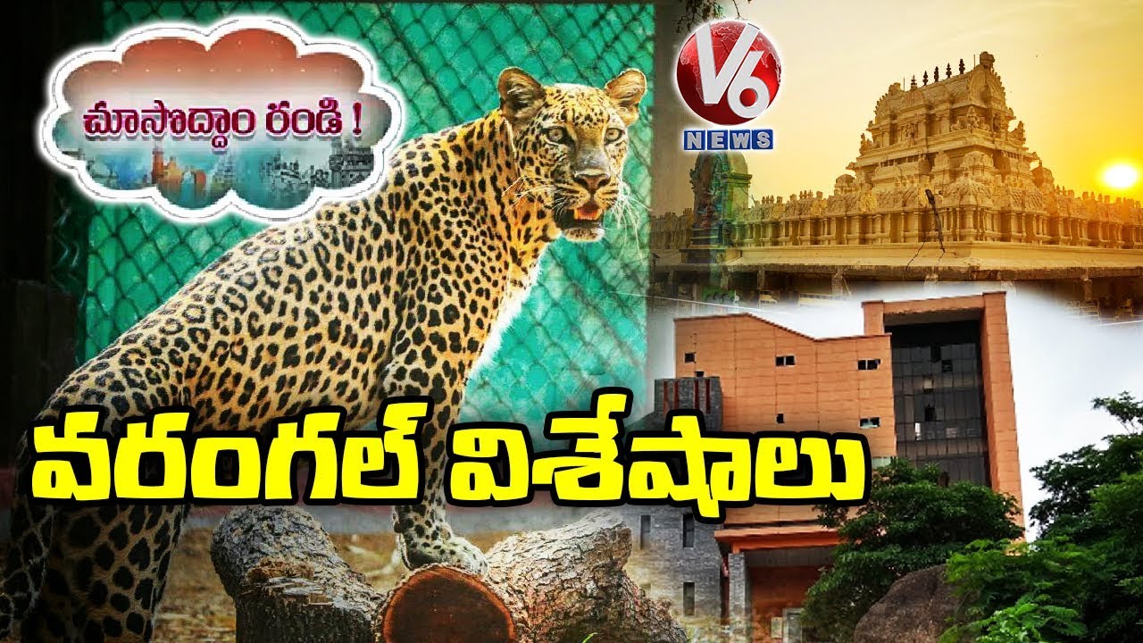 Beautiful Tourist Spots In Warangal | Kakatiya Zoo Park | Science Center| Choosodham Randi | V6 News