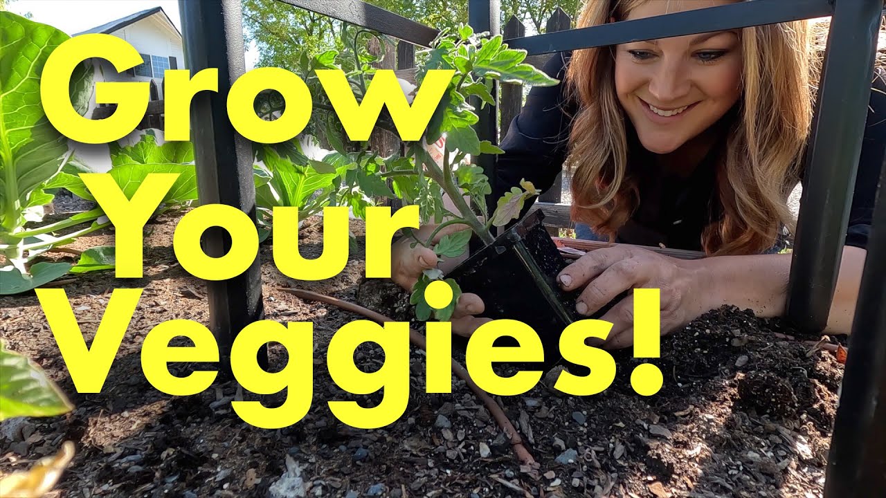 Planting Tomatoes 🍅, Peppers 🫑, & Basil 🌿 // Garden Answer