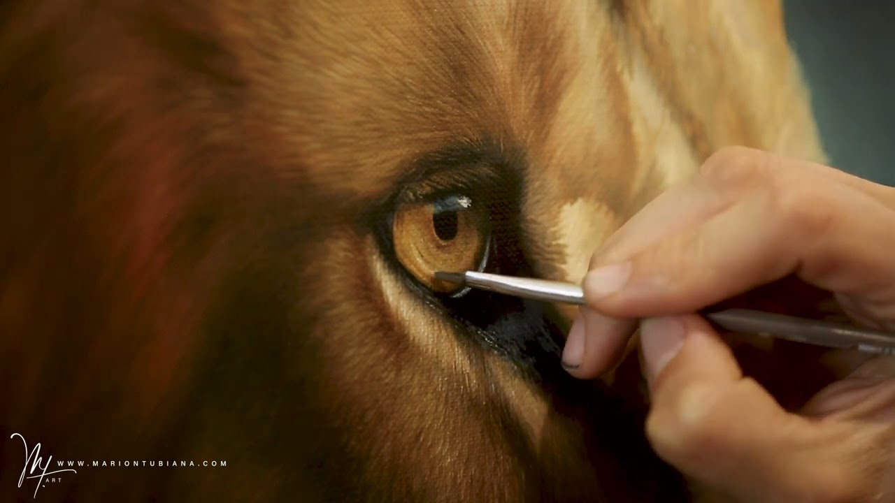 Lion seconde couche peinture &agrave; l'huile par Marion Tubiana
