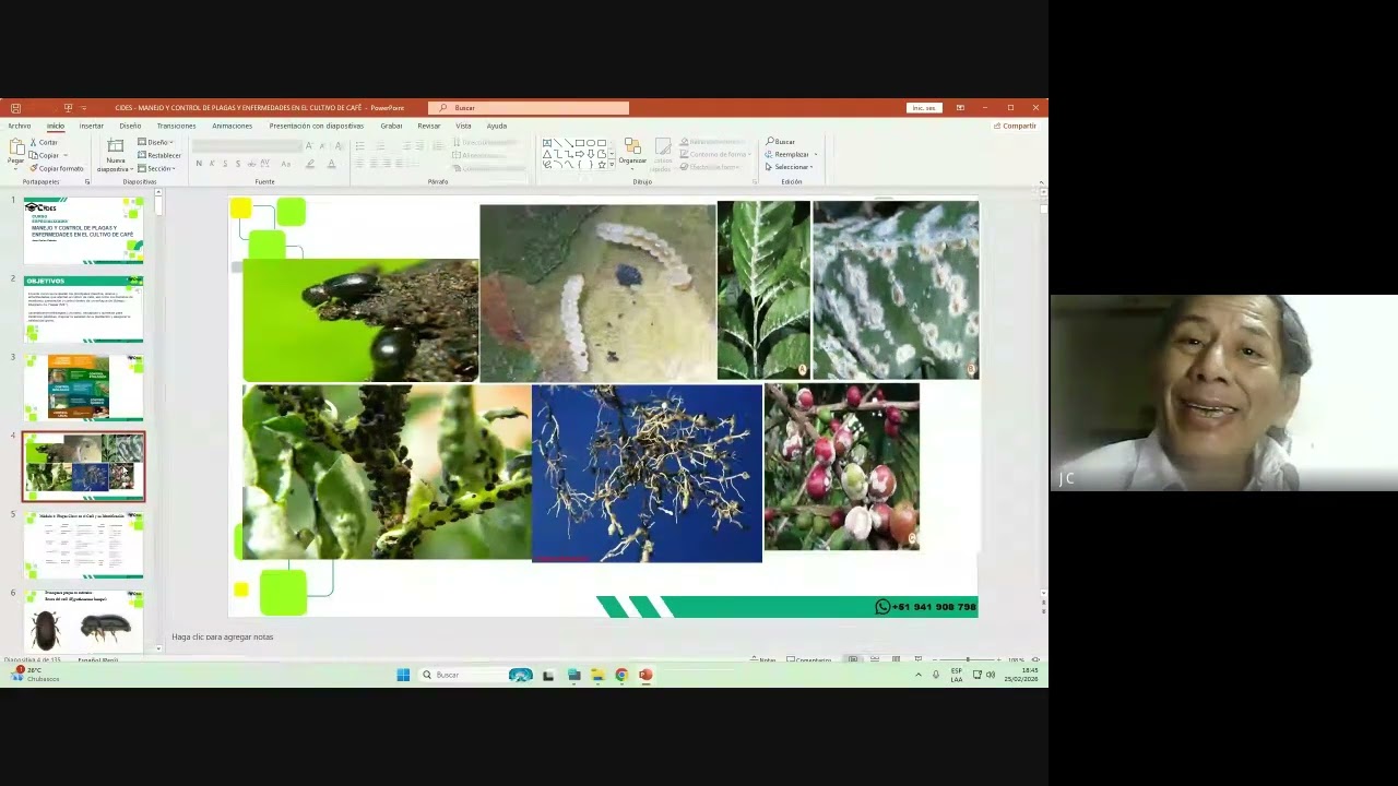 ☕🌿 𝐌𝐀𝐍𝐄𝐉𝐎 𝐘 𝐂𝐎𝐍𝐓𝐑𝐎𝐋 𝐃𝐄 𝐏𝐋𝐀𝐆𝐀𝐒 𝐄𝐍 𝐄𝐋 𝐂𝐔𝐋𝐓𝐈𝐕𝐎 𝐃𝐄 𝐂𝐀𝐅𝐄́
