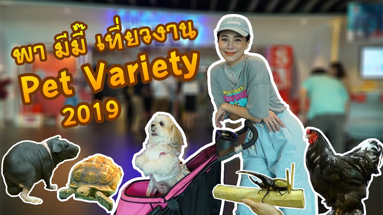 พาน้องมีมี่ตะลุยดูสัตว์เป็นร้อย ในงาน Pet Variety 2019 l OA 27 ต.ค. 2562